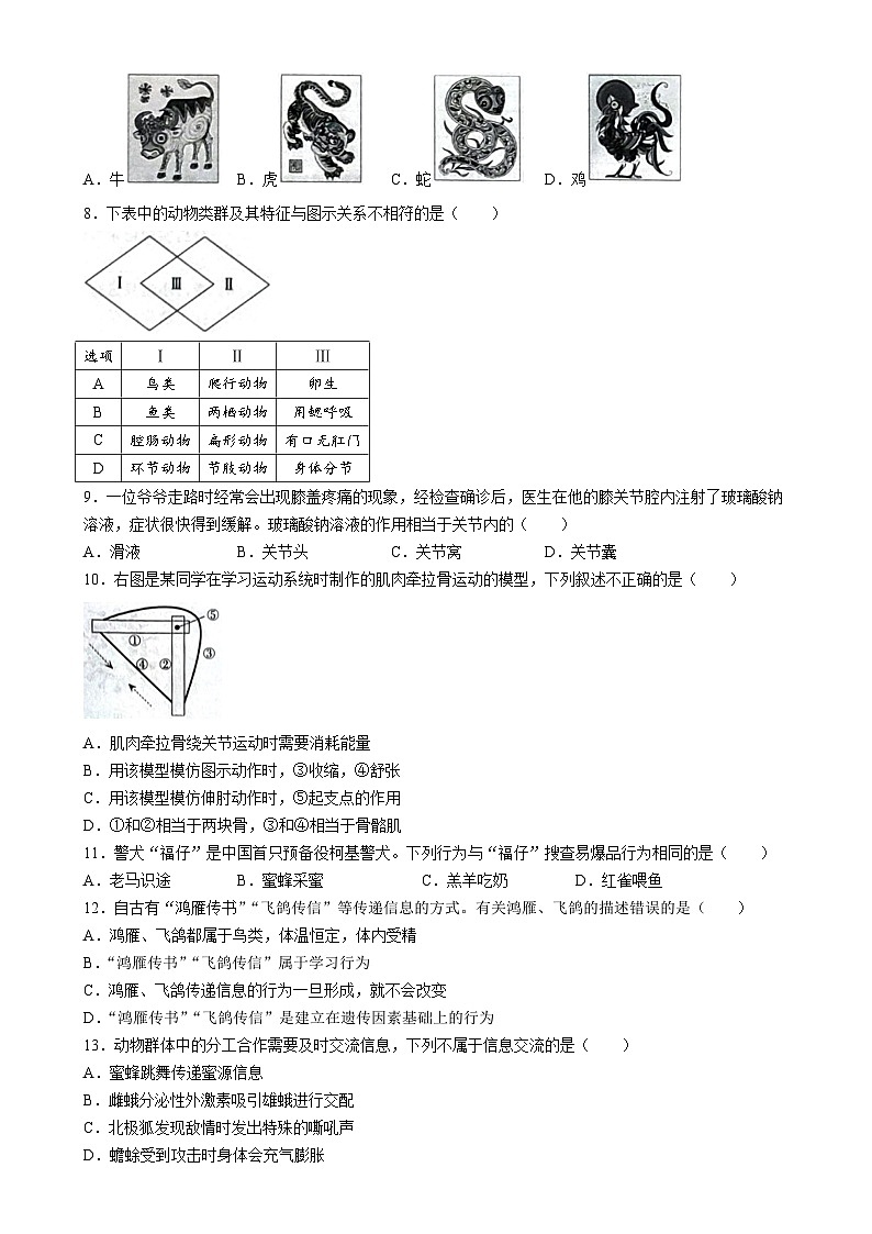 河北省邢台市信都区十九中学2024-2025学年八年级上学期12月月考生物试题-A4第2页