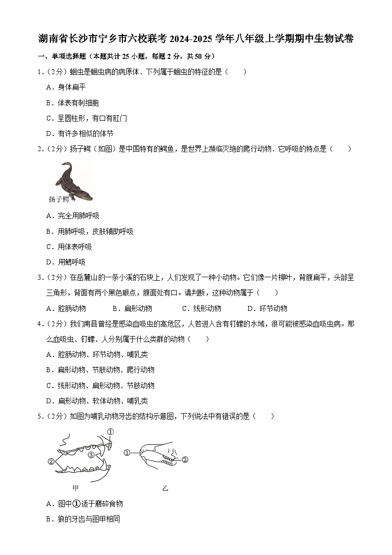 湖南省长沙市宁乡市六校联考2024-2025学年八年级上学期期中生物试卷-A4第1页