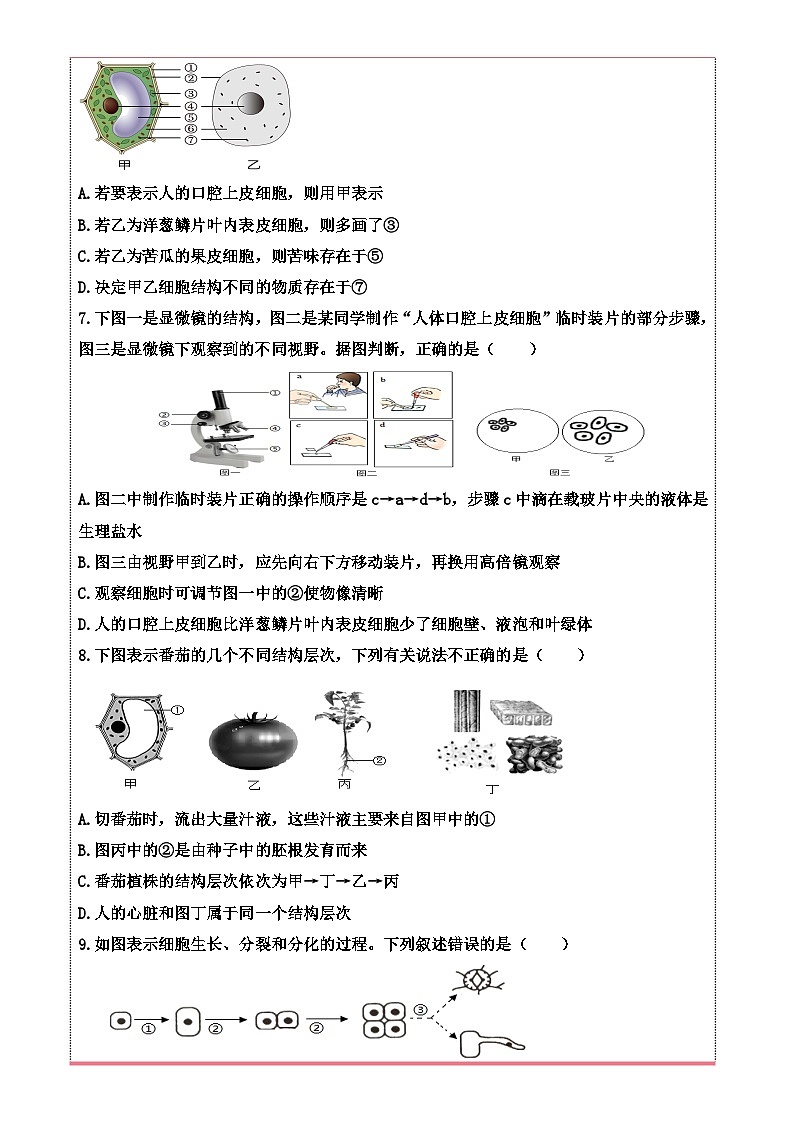 期末复习学业检测试卷-2024-2025学年济南版生物七年级上册-A4第2页