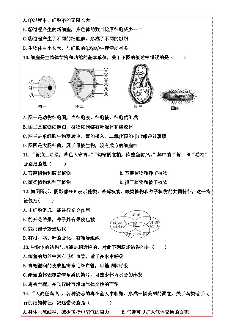 期末复习学业检测试卷-2024-2025学年济南版生物七年级上册-A4第3页