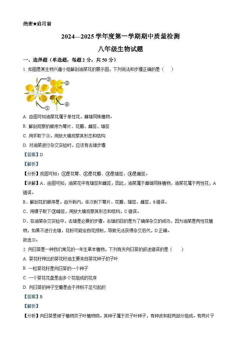 山东省济南市东南片区2024-2025学年八年级上学期期中生物试题（解析版）-A4第1页