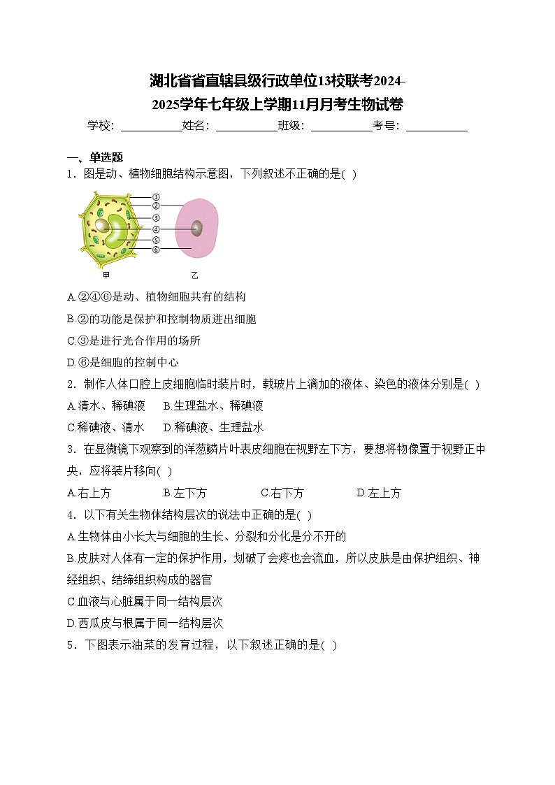 湖北省省直辖县级行政单位13校联考2024-2025学年七年级上学期11月月考生物试卷(含答案)第1页