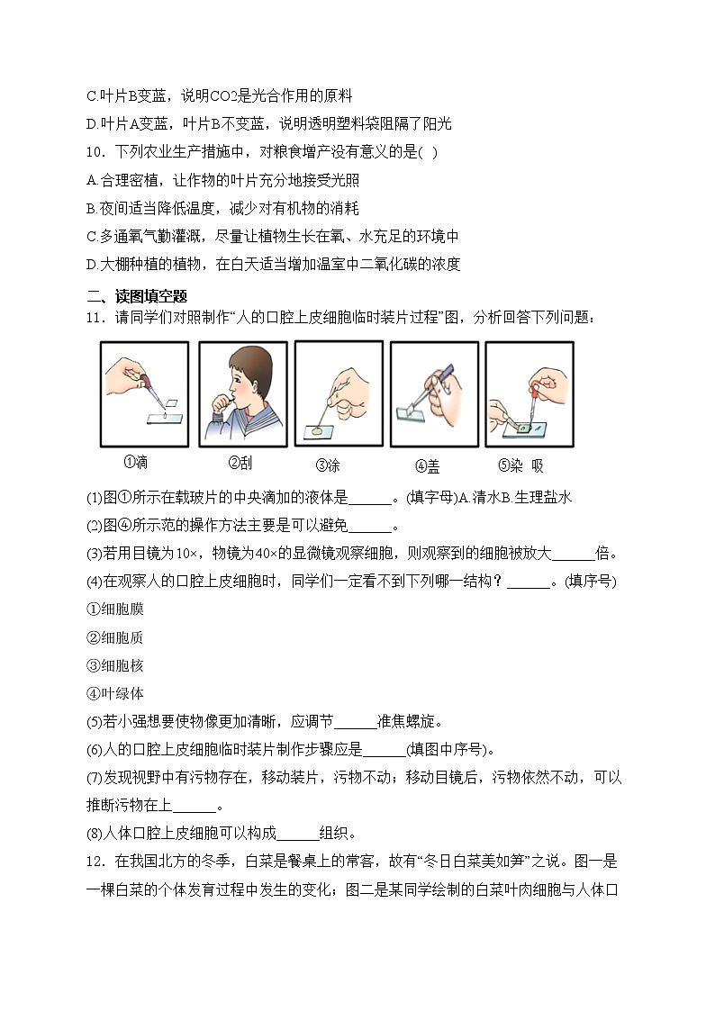 湖北省省直辖县级行政单位13校联考2024-2025学年七年级上学期11月月考生物试卷(含答案)第3页