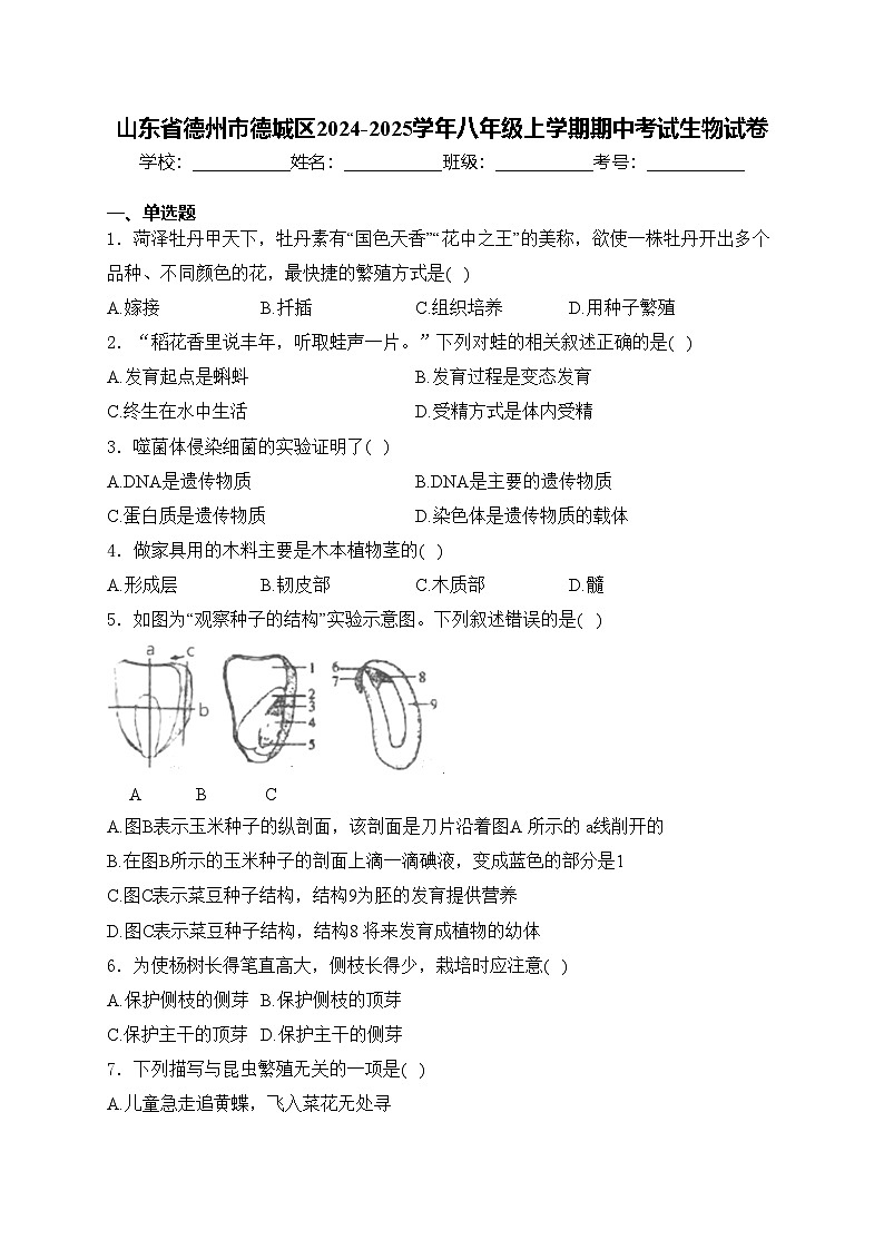 山东省德州市德城区2024-2025学年八年级上学期期中考试生物试卷(含答案)第1页