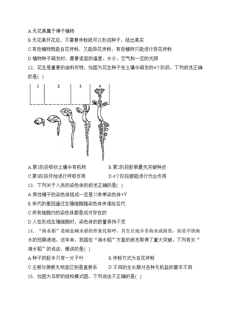 山东省德州市德城区2024-2025学年八年级上学期期中考试生物试卷(含答案)第3页