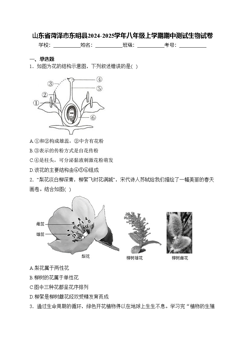 山东省菏泽市东明县2024-2025学年八年级上学期期中测试生物试卷(含答案)第1页