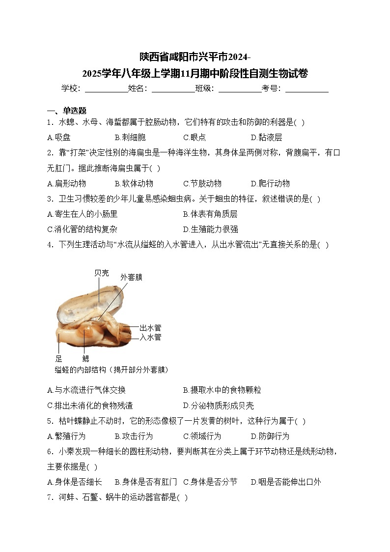 陕西省咸阳市兴平市2024-2025学年八年级上学期11月期中阶段性自测生物试卷(含答案)第1页