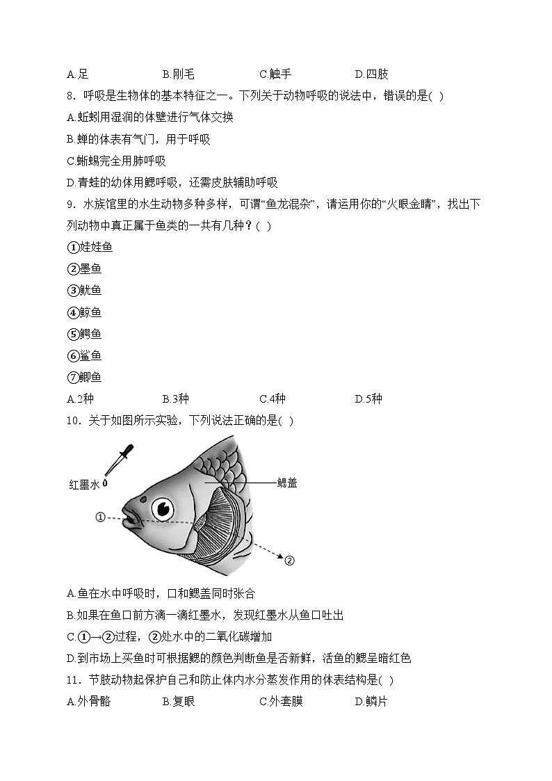 陕西省咸阳市兴平市2024-2025学年八年级上学期11月期中阶段性自测生物试卷(含答案)第2页