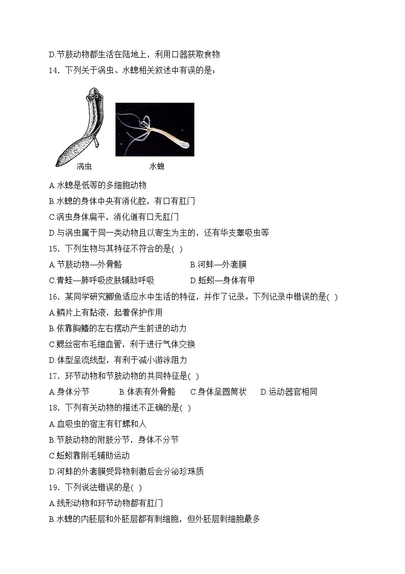 四川省泸县第二中学2024-2025学年八年级上学期11月期中考试生物试卷(含答案)第3页
