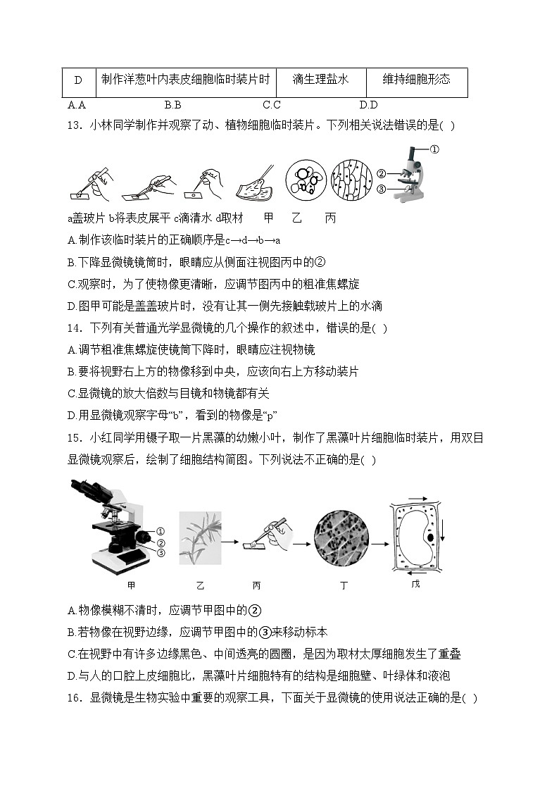 四川省泸县第二中学2024-2025学年七年级上学期11月期中考试生物试卷(含答案)第3页