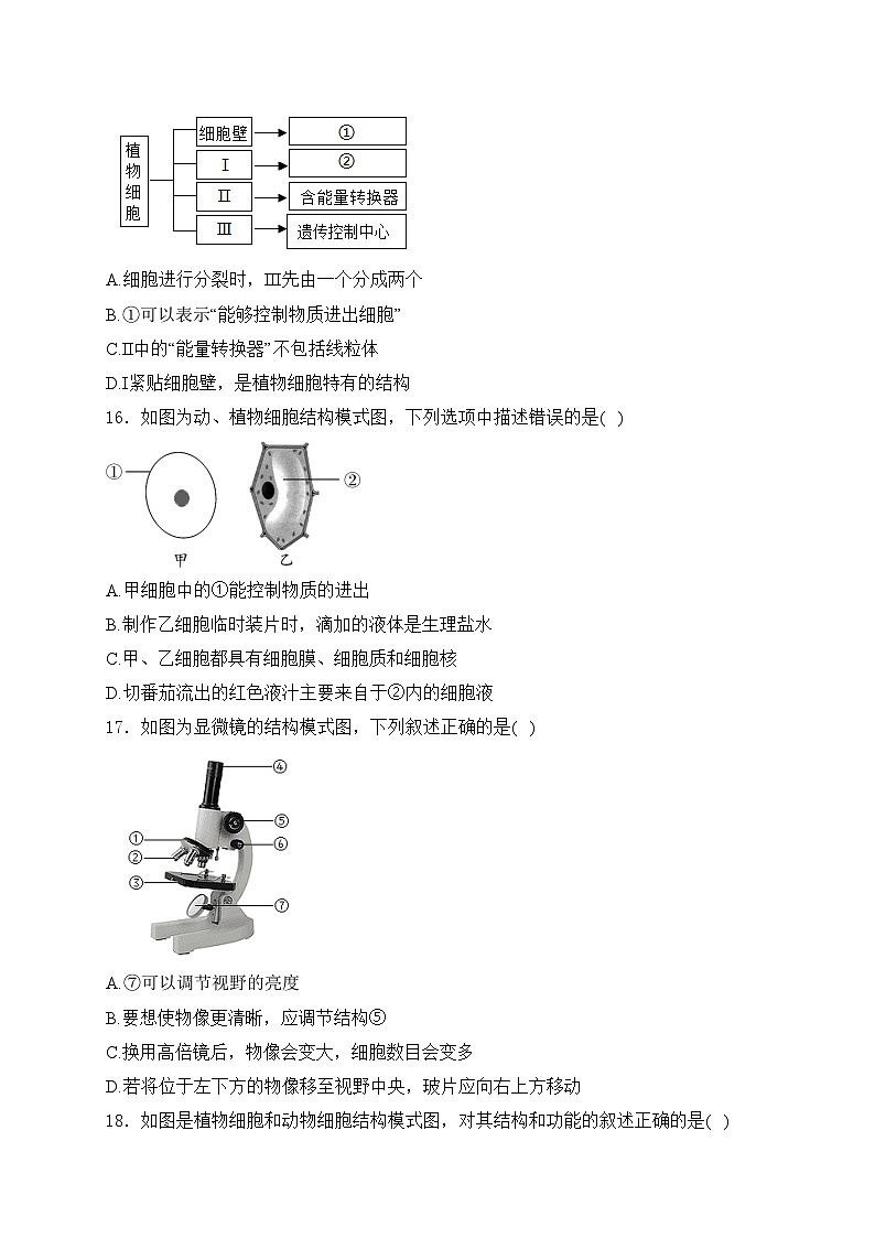 四川省泸县第四中学2024-2025学年七年级上学期11月期中考试生物试卷(含答案)第3页