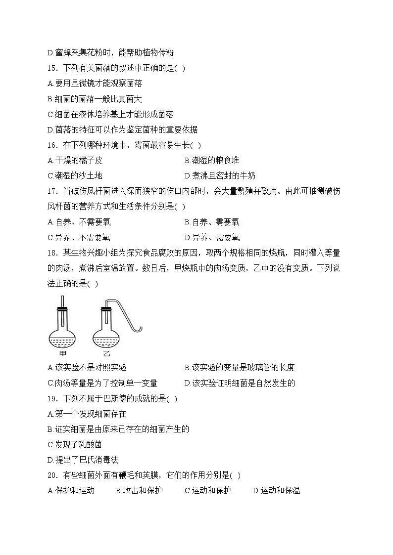 四川省南充市白塔中学2024-2025学年八年级上学期期中检测生物试卷(含答案)第3页