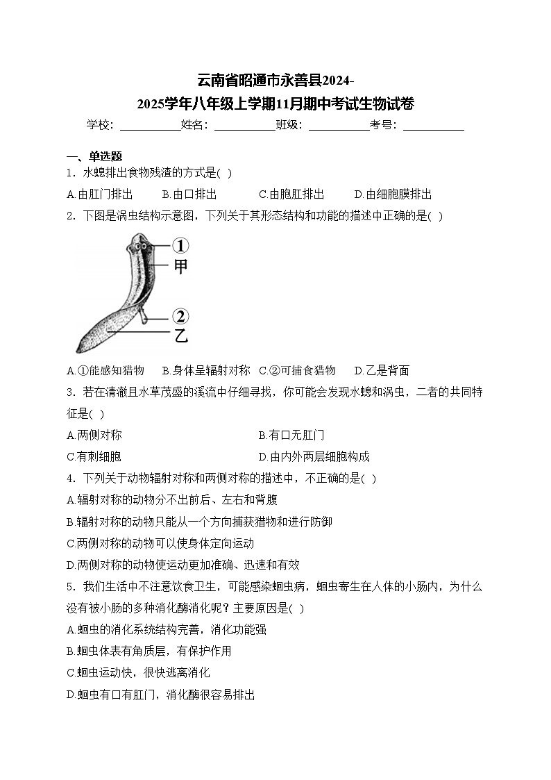 云南省昭通市永善县2024-2025学年八年级上学期11月期中考试生物试卷(含答案)第1页