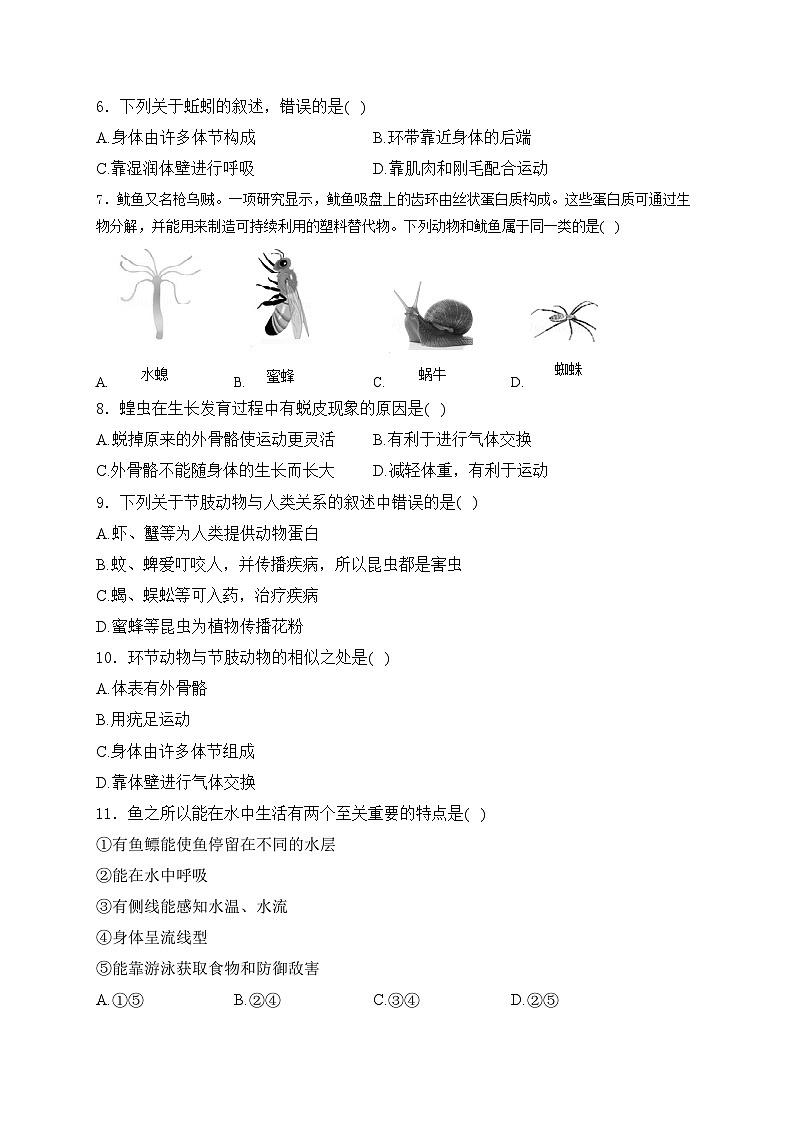 云南省昭通市永善县2024-2025学年八年级上学期11月期中考试生物试卷(含答案)第2页