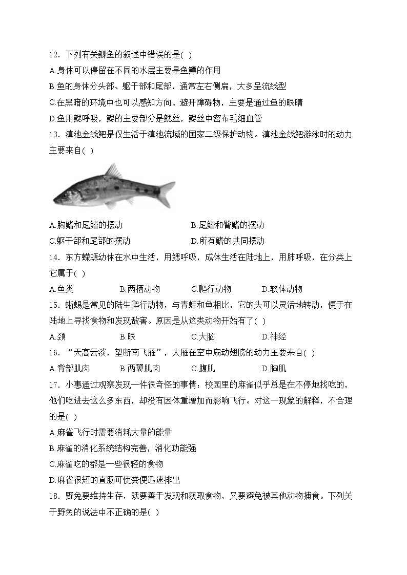 云南省昭通市永善县2024-2025学年八年级上学期11月期中考试生物试卷(含答案)第3页