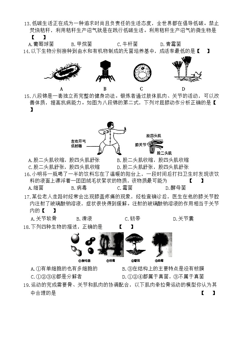 河南省新乡市卫辉市2024-2025学年八年级上学期期中生物学试题第3页