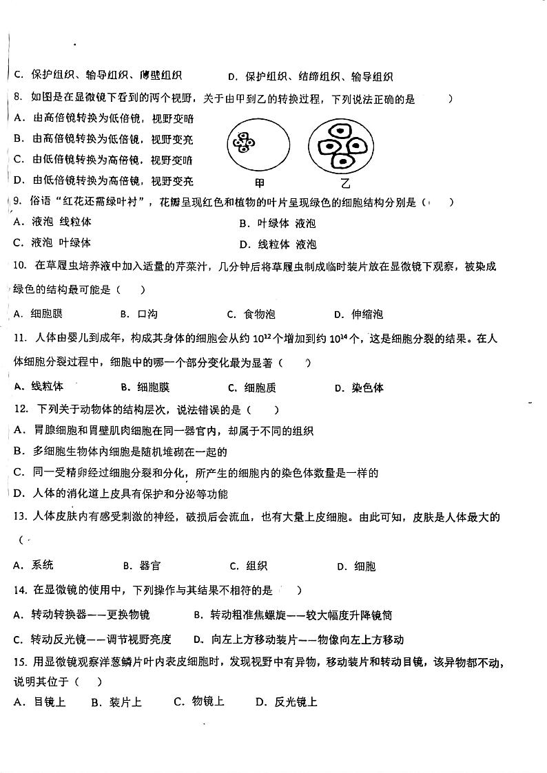 湖南省郴州市第五中学教育集团2024-2025学年七年级上学期期中考试生物试卷第2页