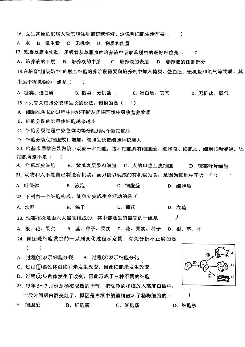 湖南省郴州市第五中学教育集团2024-2025学年七年级上学期期中考试生物试卷第3页