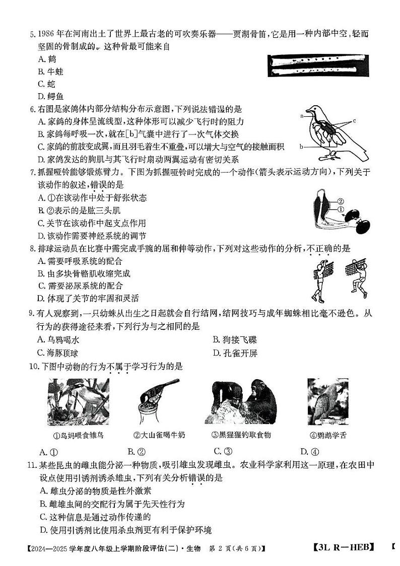 河北省邢台英华教育集团2024-2025学年八年级上学期12月月考生物试题第2页