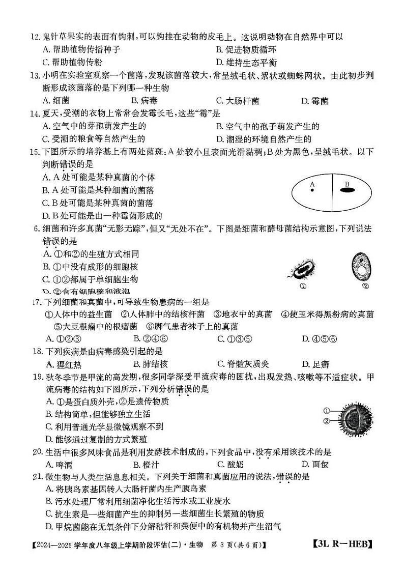 河北省邢台英华教育集团2024-2025学年八年级上学期12月月考生物试题第3页