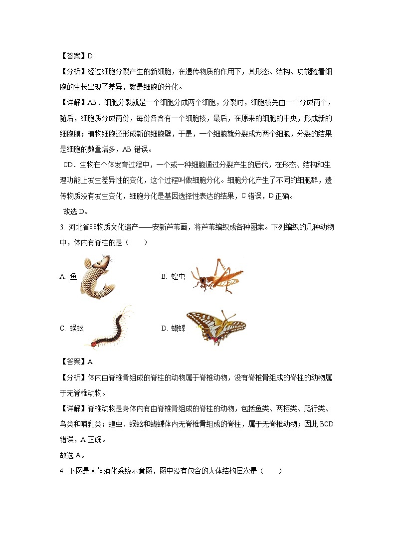 2024-2025学年河北省保定市高碑店市七年级(上)期中生物试卷(解析版)第2页
