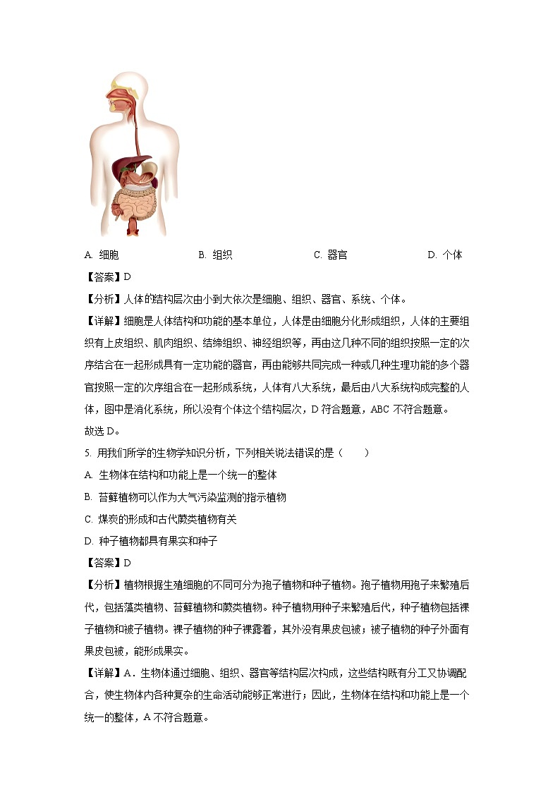 2024-2025学年河北省保定市高碑店市七年级(上)期中生物试卷(解析版)第3页