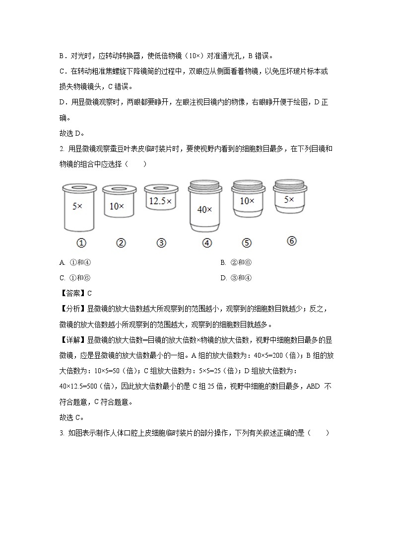 2024-2025学年江苏省盐城市响水县七年级(上)期中生物试卷(解析版)第2页