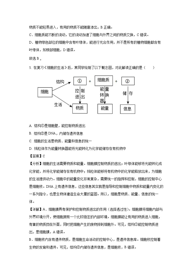 2024-2025学年黑龙江省双鸭山市集贤县七年级(上)期中生物试卷(解析版)第3页
