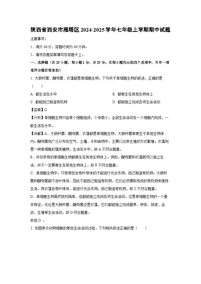 2024-2025学年陕西省西安市雁塔区七年级(上)期中生物试卷(解析版)第1页