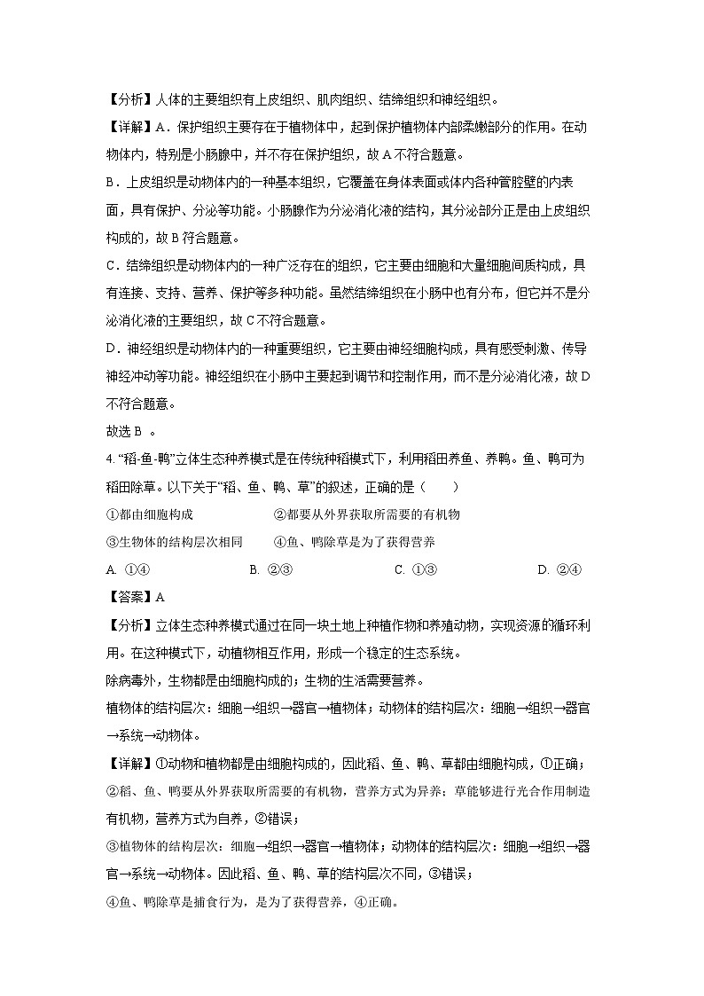 2024-2025学年陕西省西安市雁塔区七年级(上)期中生物试卷(解析版)第3页