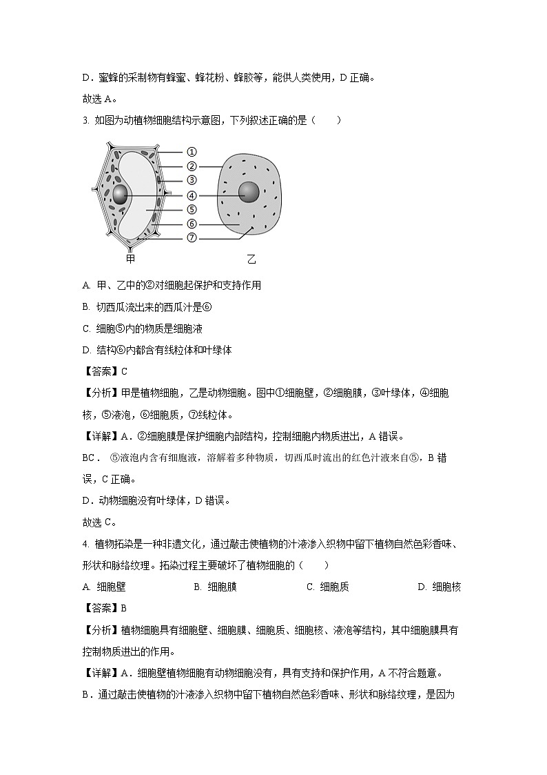 2024-2025学年河北省秦皇岛市昌黎县七年级(上)期中生物试卷(解析版)第2页