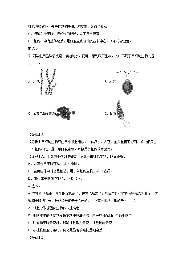 2024-2025学年河北省秦皇岛市昌黎县七年级(上)期中生物试卷(解析版)第3页