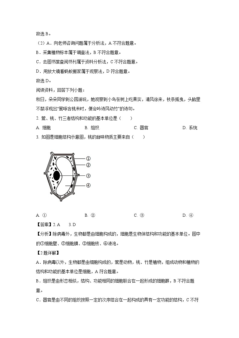 2024-2025学年湖北省十堰市七年级(上)期中生物试卷(解析版)第2页