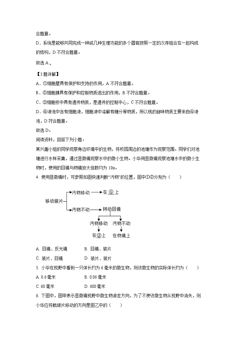 2024-2025学年湖北省十堰市七年级(上)期中生物试卷(解析版)第3页