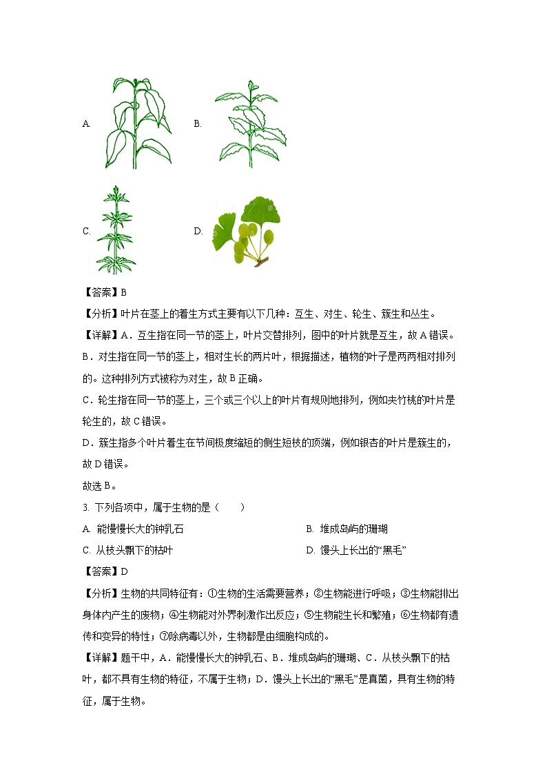 2024-2025学年新疆克孜勒苏柯尔克孜自治州七年级(上)期中生物试卷(解析版)第2页