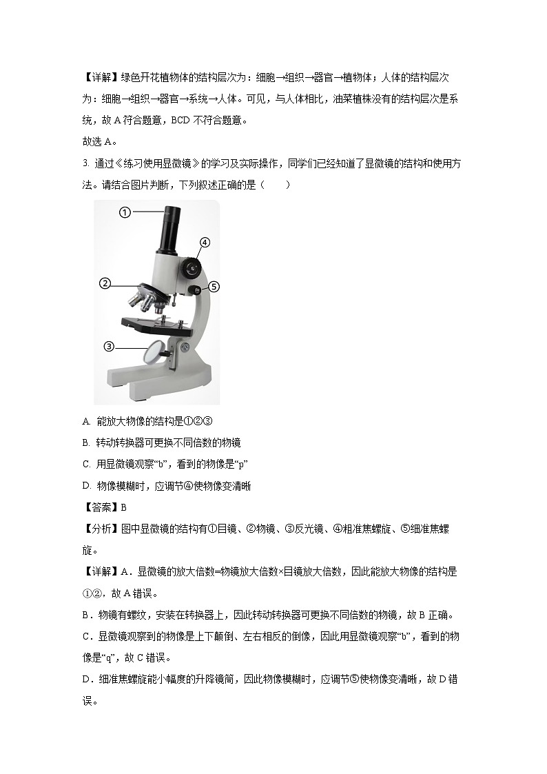 2024-2025学年山西省临汾市七年级(上)第二次月考生物试卷(解析版)第2页