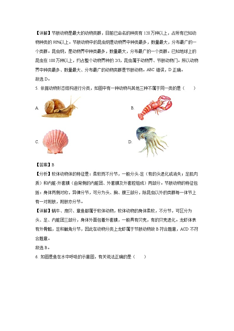 2023-2024学年云南省红河州建水实验中学八年级(上)10月月考生物试卷(解析版)第3页