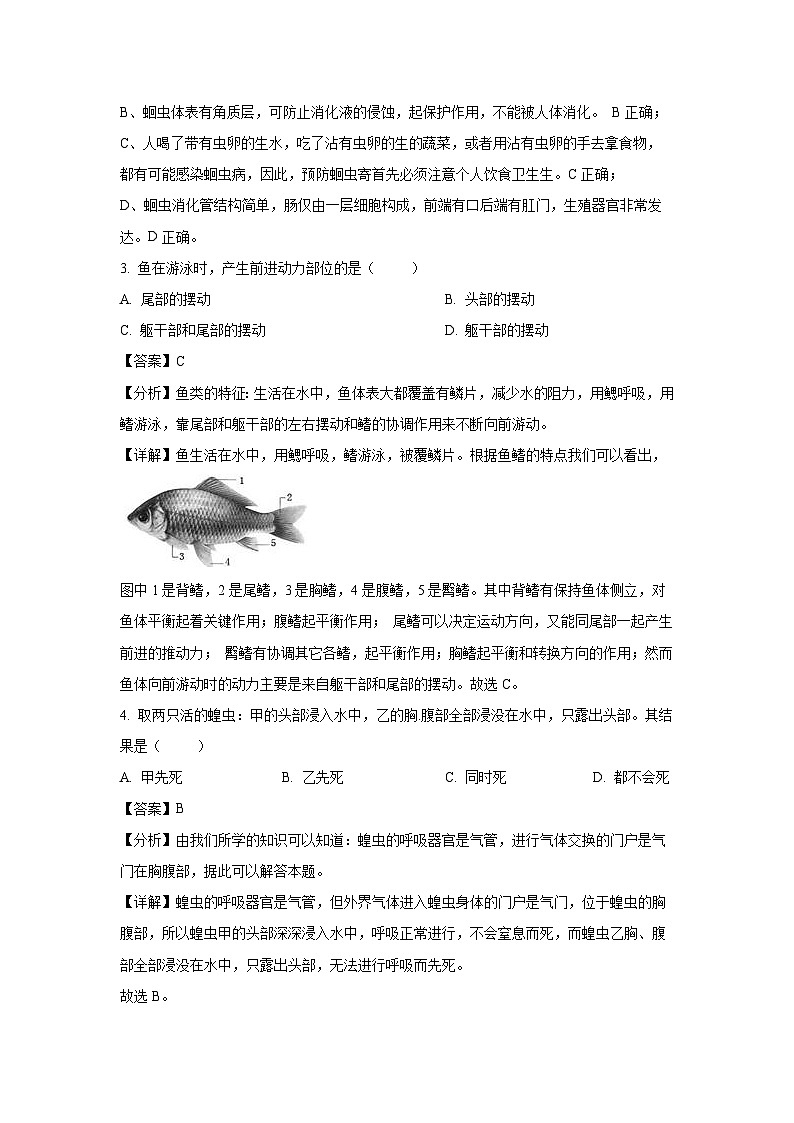 2023－2024学年云南省石林县鹿阜中学八年级(上)期末模拟卷生物试卷(解析版)第2页