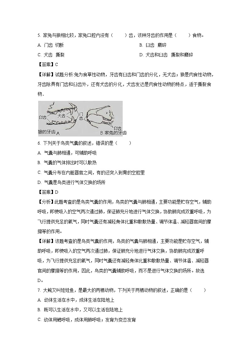 2023－2024学年云南省石林县鹿阜中学八年级(上)期末模拟卷生物试卷(解析版)第3页