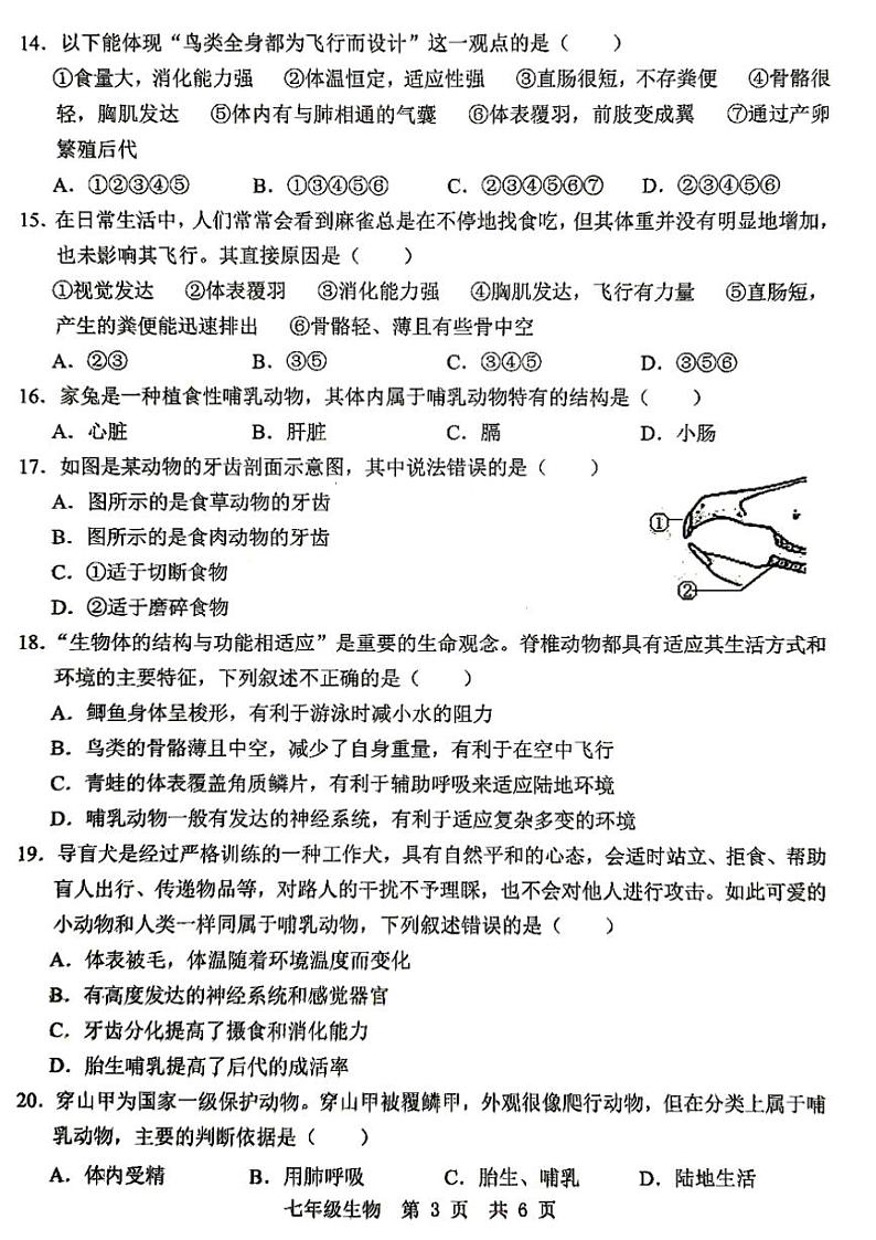 2024～2025学年山东省济宁市金乡县七年级(上)12月月考(学情监测)生物试卷(含答案)第3页
