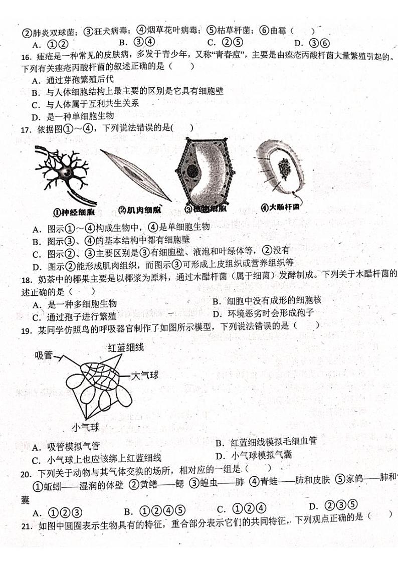 2024～2025学年山东省潍坊市高密市四校联考七年级(上)12月月考(阶段性检测)生物试卷(含答案)第3页