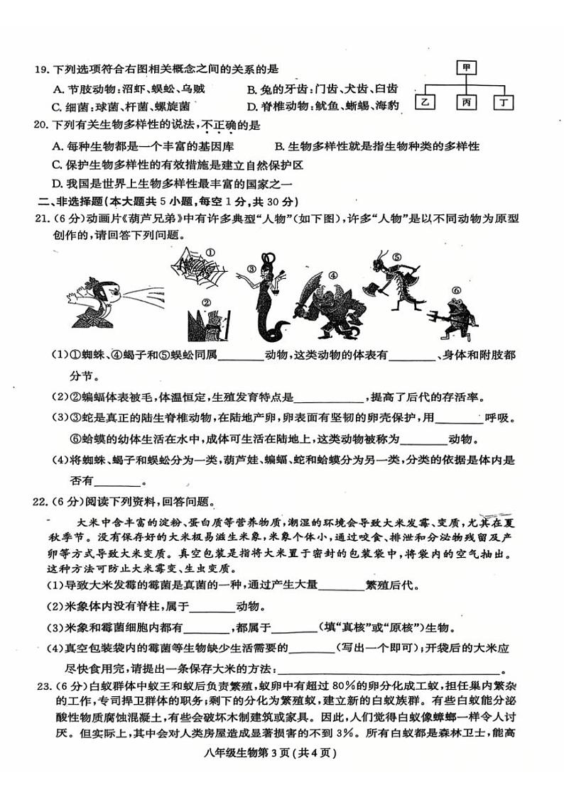 2024～2025学年河南省周口市郸城县名校八年级(上)第三次月考生物试卷(含答案)第3页