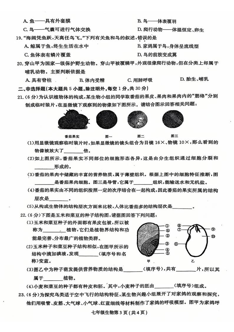 2024～2025学年河南省周口市郸城县名校七年级(上)第三次月考生物试卷(含答案)第3页