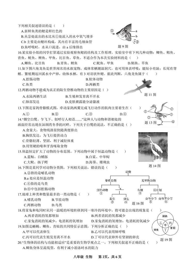 广东省深圳市宝安区宝安中学集团2023-2024学年八年级第一学期期中考试生物第2页