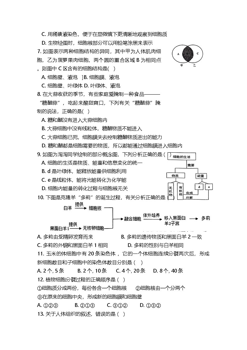 湖南省娄底市新化县2024-2025学年七年级上学期12月月考生物试题第2页