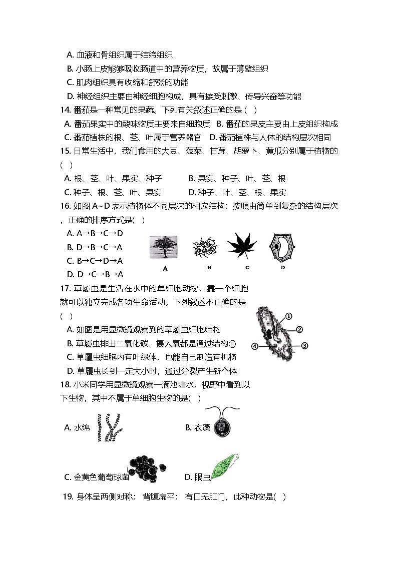 湖南省娄底市新化县2024-2025学年七年级上学期12月月考生物试题第3页
