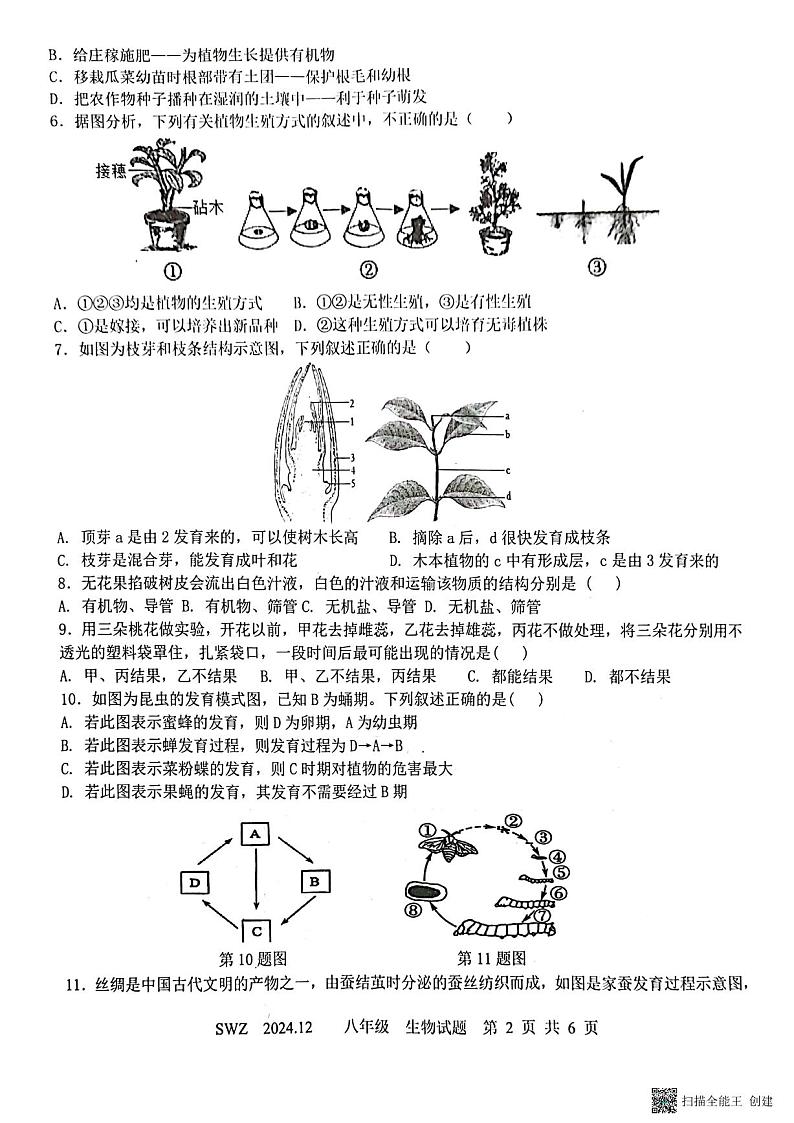 扫描全能王 2024-12-11 17.08第2页