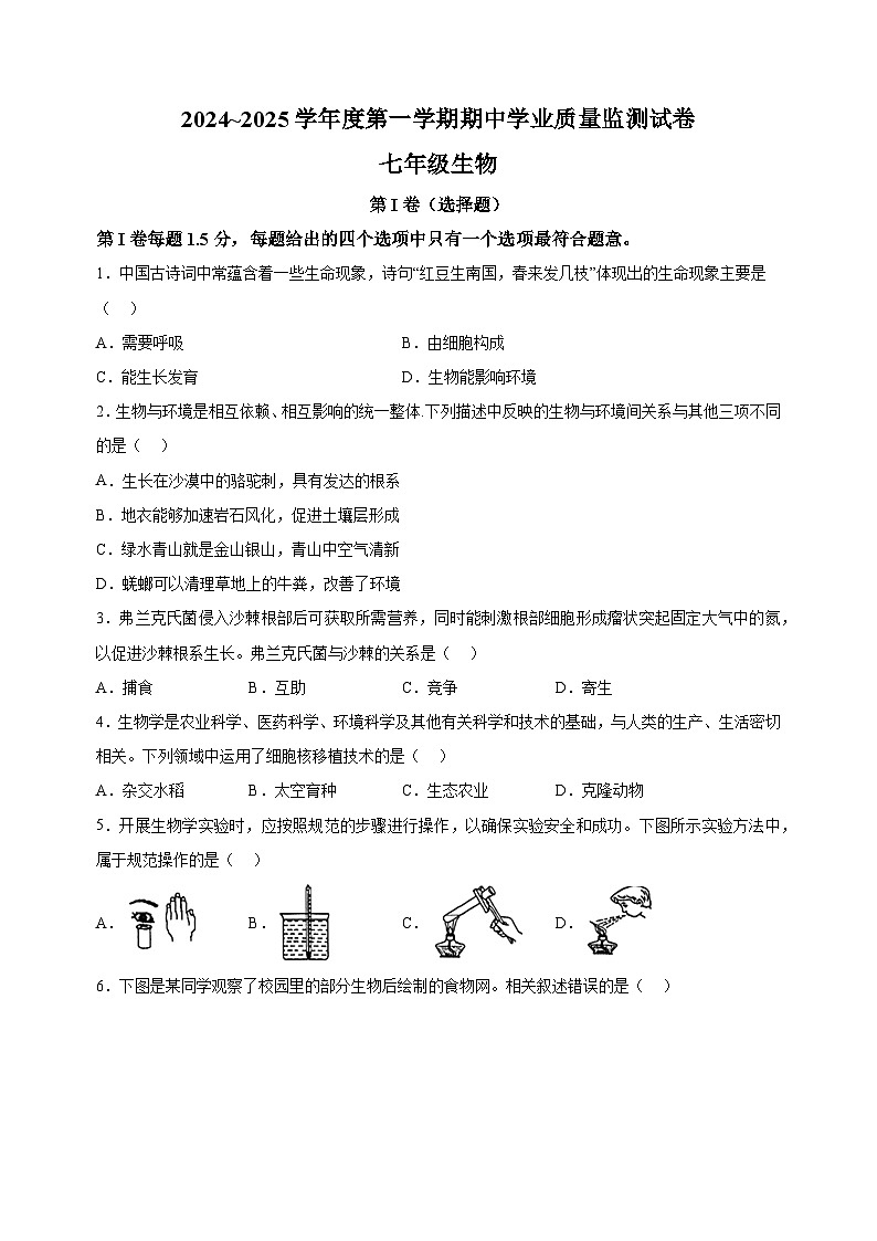 江苏省南通市2024-2025学年七年级上学期期中生物试题（含答案解析）第1页
