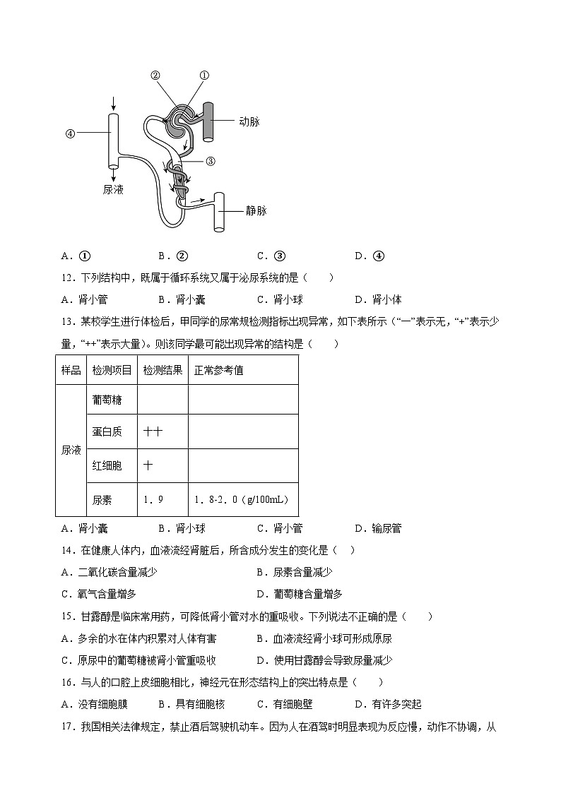 江苏省泰州市姜堰区2024-2025学年八年级上学期期中生物试题（含答案解析）第3页