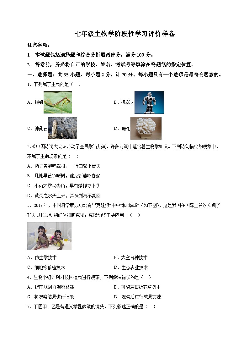 江苏省镇江市句容市2024-2025学年七年级上学期期中生物学试题（含答案解析）第1页